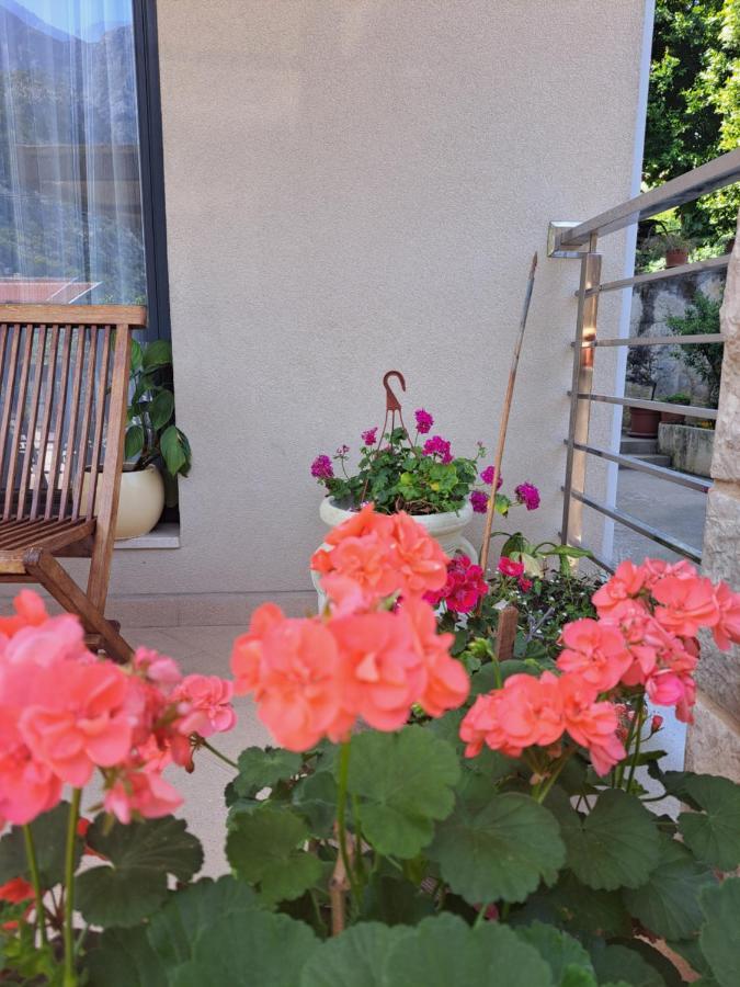 Apartment Benvenuti Kotor Exterior foto